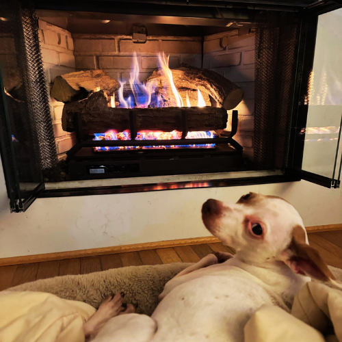 Untitled design – 2026-03-05T185700.545